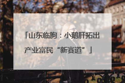 山东临朐：小鹅肝拓出产业富民“新赛道”
