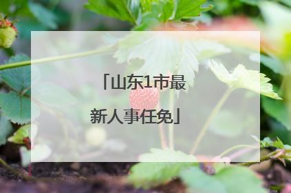 山东1市最新人事任免