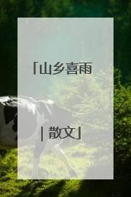 山乡喜雨｜散文
