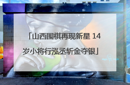 山西围棋再现新星 14岁小将行泓丞斩金夺银