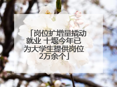 岗位扩增量撬动就业 十堰今年已为大学生提供岗位2万余个