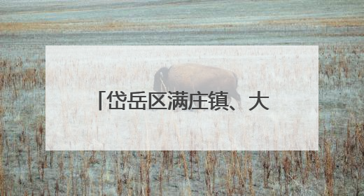 岱岳区满庄镇、大汶口工业园：完善制度、贴心护航、强化监管，打造优质营商“强磁场”