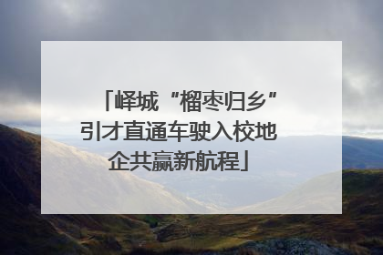 峄城“榴枣归乡”引才直通车驶入校地企共赢新航程