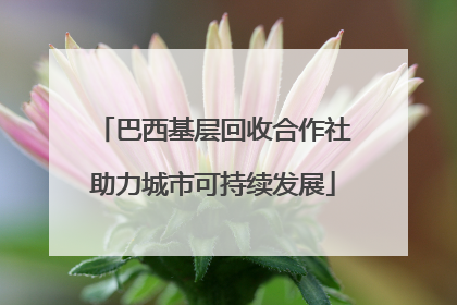 巴西基层回收合作社助力城市可持续发展