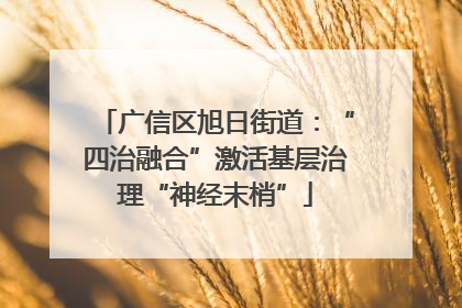 广信区旭日街道：“四治融合”激活基层治理“神经末梢”