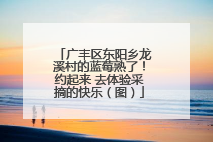 广丰区东阳乡龙溪村的蓝莓熟了！约起来 去体验采摘的快乐（图）