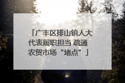 广丰区排山镇人大代表履职担当 疏通农贸市场“堵点”