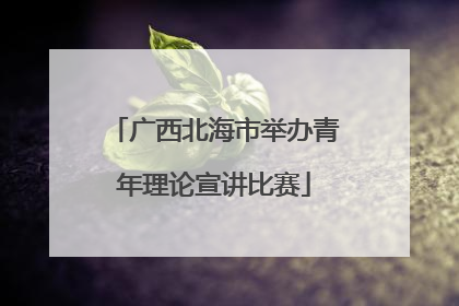 广西北海市举办青年理论宣讲比赛