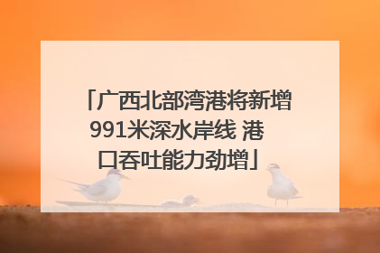 广西北部湾港将新增991米深水岸线 港口吞吐能力劲增