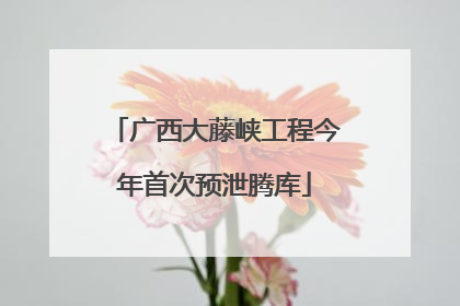 广西大藤峡工程今年首次预泄腾库