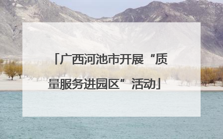广西河池市开展“质量服务进园区”活动