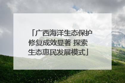广西海洋生态保护修复成效显著 探索生态惠民发展模式