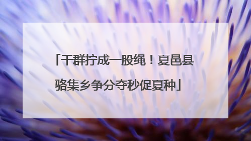 干群拧成一股绳！夏邑县骆集乡争分夺秒促夏种