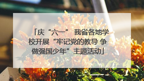 庆“六一” 我省各地学校开展“牢记党的教导 争做强国少年”主题活动