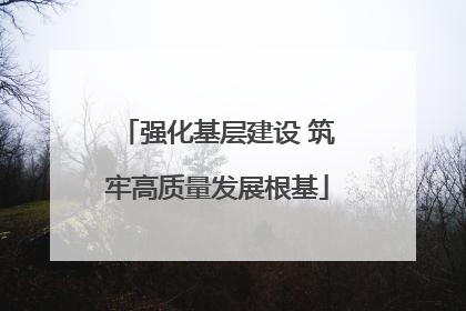 强化基层建设 筑牢高质量发展根基