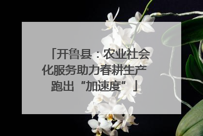 开鲁县：农业社会化服务助力春耕生产跑出“加速度”