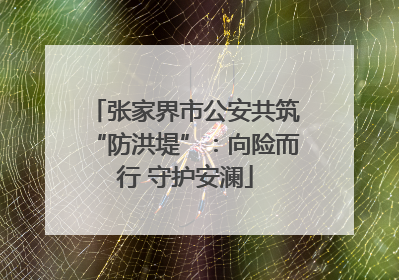 张家界市公安共筑“防洪堤”：向险而行 守护安澜