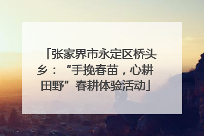 张家界市永定区桥头乡：“手挽春苗，心耕田野”春耕体验活动