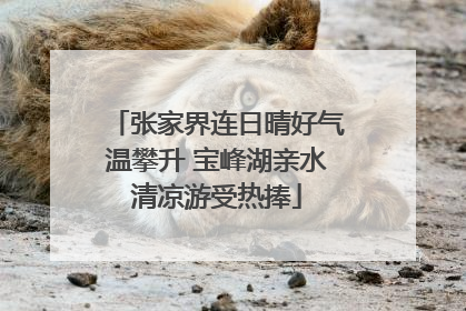 张家界连日晴好气温攀升 宝峰湖亲水清凉游受热捧