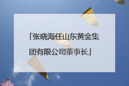 张晓海任山东黄金集团有限公司董事长