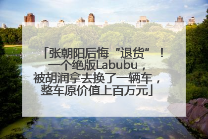 张朝阳后悔“退货”！一个绝版Labubu，被胡润拿去换了一辆车，整车原价值上百万元