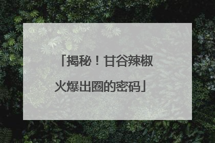 揭秘！甘谷辣椒火爆出圈的密码