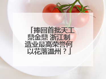 捧回首批天工鼎金鼎 浙江制造业最高荣誉何以花落温州？