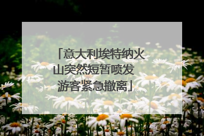 意大利埃特纳火山突然短暂喷发 游客紧急撤离