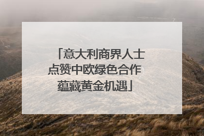 意大利商界人士点赞中欧绿色合作蕴藏黄金机遇