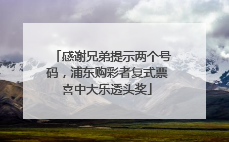 感谢兄弟提示两个号码，浦东购彩者复式票喜中大乐透头奖