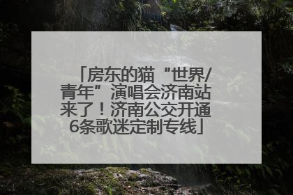 房东的猫“世界/青年”演唱会济南站来了！济南公交开通6条歌迷定制专线