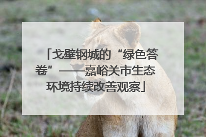 戈壁钢城的“绿色答卷”——嘉峪关市生态环境持续改善观察