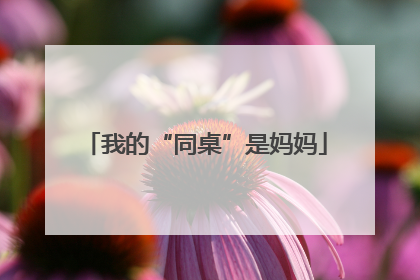 我的“同桌”是妈妈