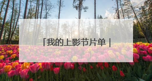 我的上影节片单｜在家看不下去的，就去电影节看！