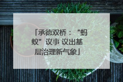 承德双桥：“蚂蚁”议事 议出基层治理新气象