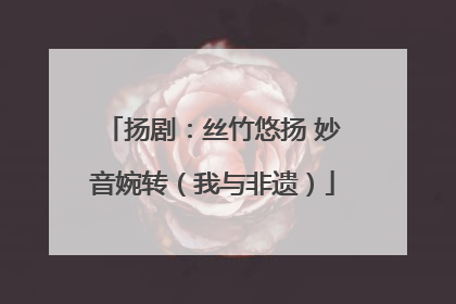扬剧：丝竹悠扬 妙音婉转（我与非遗）