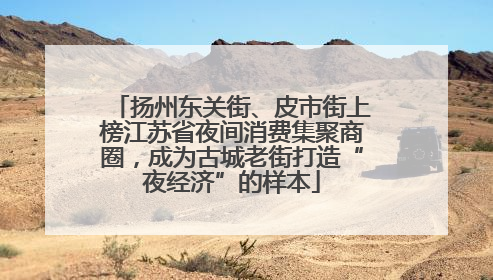 扬州东关街、皮市街上榜江苏省夜间消费集聚商圈，成为古城老街打造“夜经济”的样本