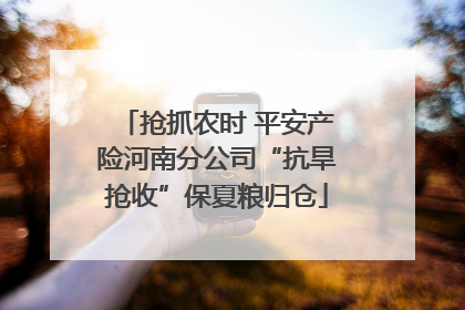 抢抓农时 平安产险河南分公司“抗旱抢收”保夏粮归仓