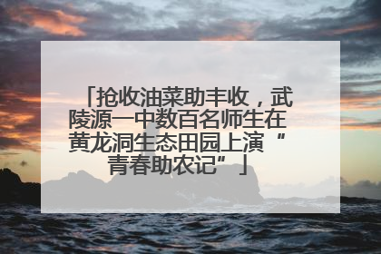 抢收油菜助丰收，武陵源一中数百名师生在黄龙洞生态田园上演“青春助农记”