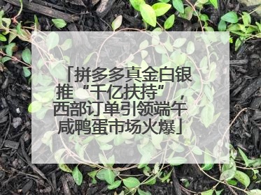 拼多多真金白银推“千亿扶持”，西部订单引领端午咸鸭蛋市场火爆
