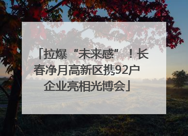 拉爆“未来感”！长春净月高新区携92户企业亮相光博会