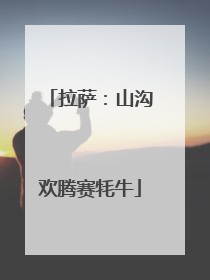 拉萨：山沟欢腾赛牦牛