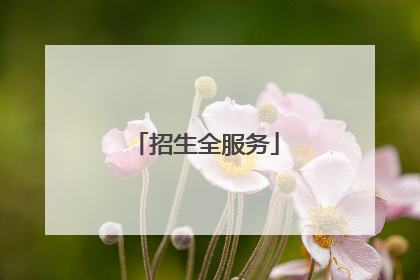 招生全服务