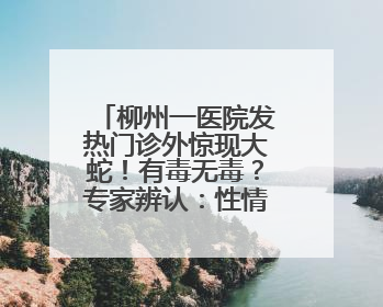 柳州一医院发热门诊外惊现大蛇！有毒无毒？专家辨认：性情温顺