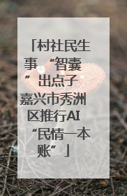 村社民生事 “智囊”出点子 嘉兴市秀洲区推行AI“民情一本账”