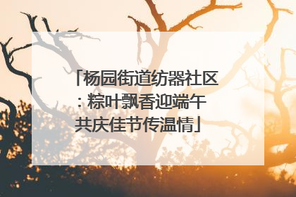 杨园街道纺器社区：粽叶飘香迎端午 共庆佳节传温情