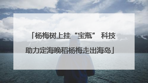 杨梅树上挂“宝瓶” 科技助力定海晚稻杨梅走出海岛