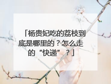 杨贵妃吃的荔枝到底是哪里的？怎么走的“快递”？