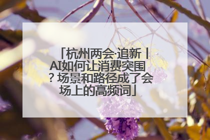 杭州两会·追新丨AI如何让消费突围？场景和路径成了会场上的高频词