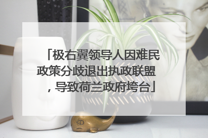极右翼领导人因难民政策分歧退出执政联盟，导致荷兰政府垮台